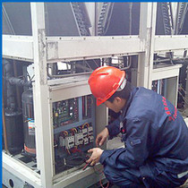 三維動畫制作公司,嘉定區動畫制作,藝虎動畫(在線咨詢)-江蘇省徐州市邳州市銀杏樹苗木基地